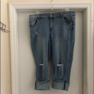 Ashley Stewart Capris